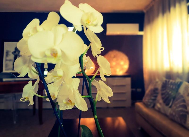 Hotel Caraibi Milano Marittima Zewnętrze zdjęcie