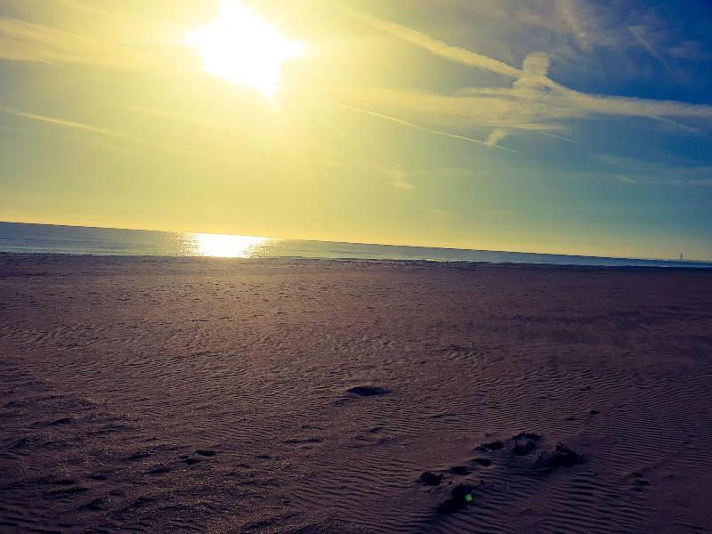 Hotel Caraibi Milano Marittima Zewnętrze zdjęcie